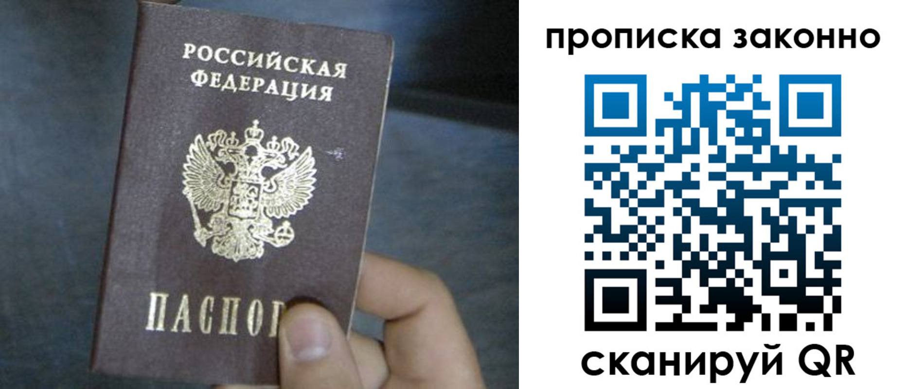 прописка в квартире в Ленинградской области